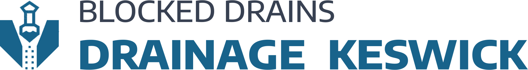 website logo